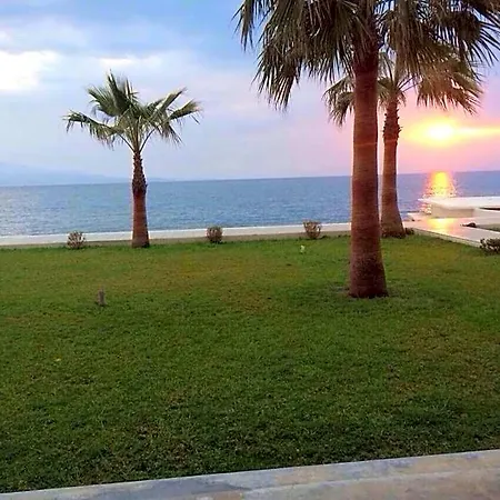 International Hotel 4*